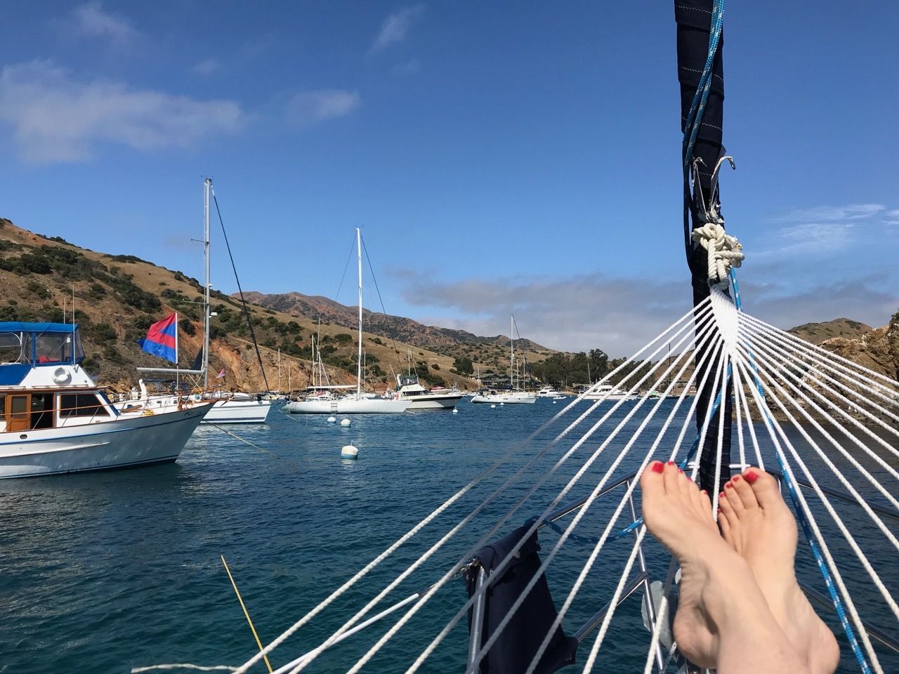Catalina view from the Hammock